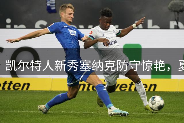 凯尔特人新秀塞纳克防守惊艳，夏联赛场展现内线统治力