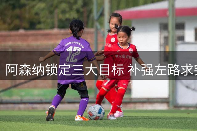 阿森纳锁定三大目标 补强左路求突破