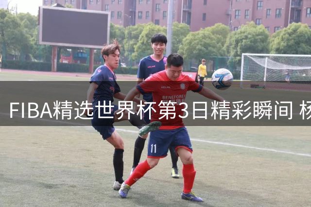 FIBA精选世界杯第3日精彩瞬间 杨舒予关键球获选